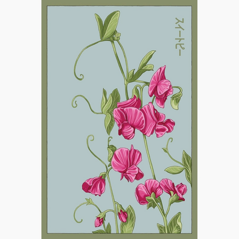 Shido Seeds Sweet Pea Flower Seeds