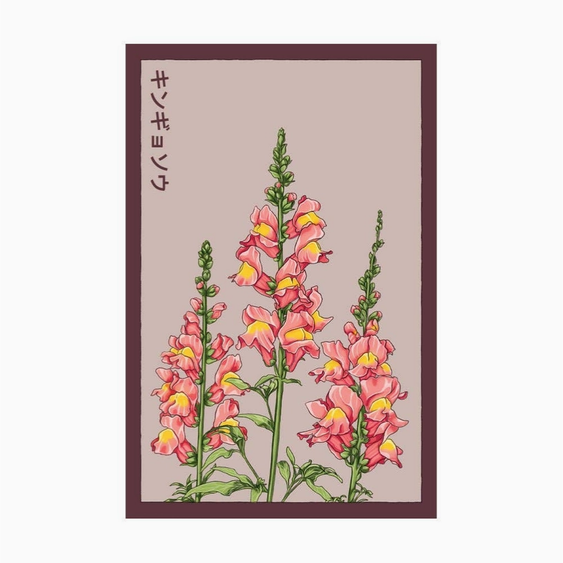 Shido Seeds Snapdragon Flower Seeds Packet