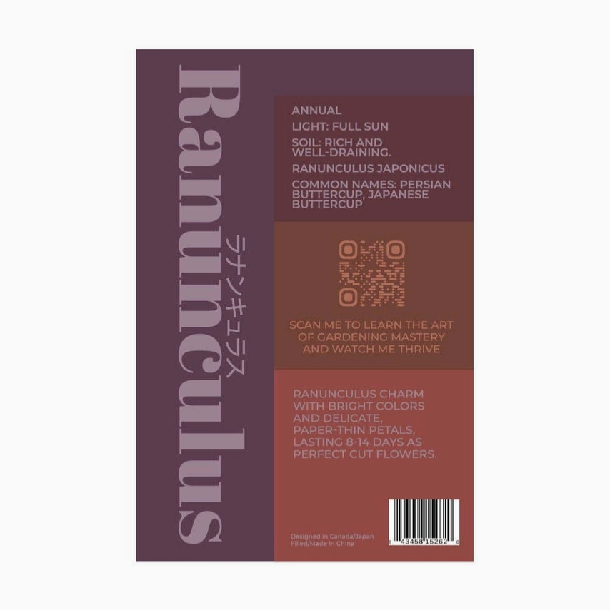 Shido Seeds Ranunculus Flower Plant Seeds