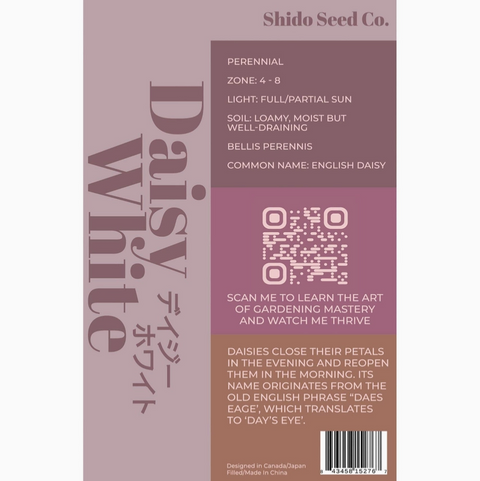 Shido Seeds Daisy White Flower Seeds Packet