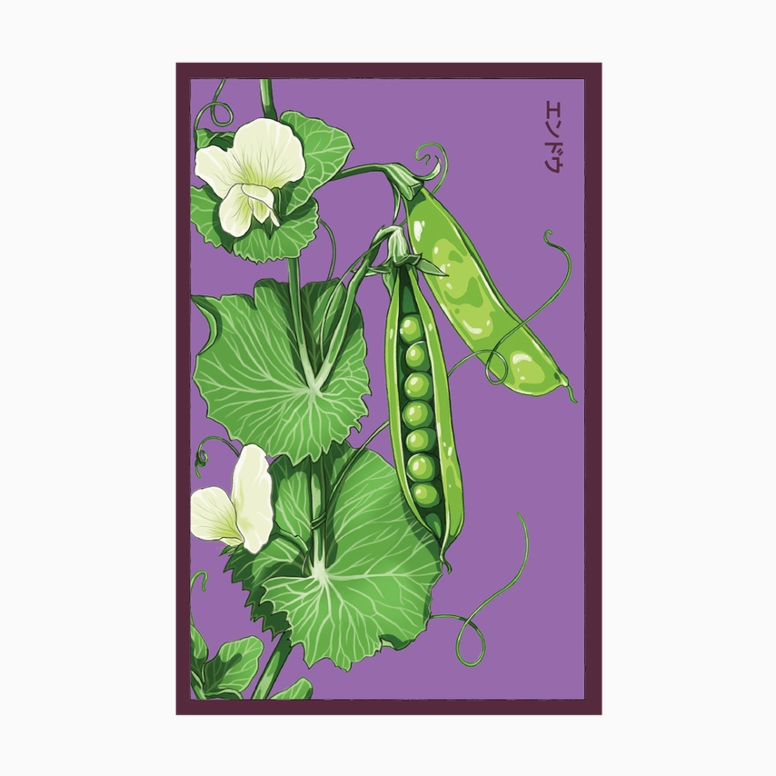 Shido Seeds Little Marvel Peas