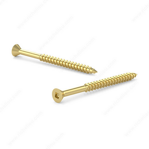 Two gold screws on a white background