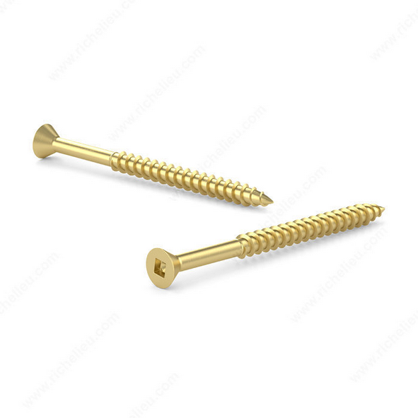 Two gold screws on a white background
