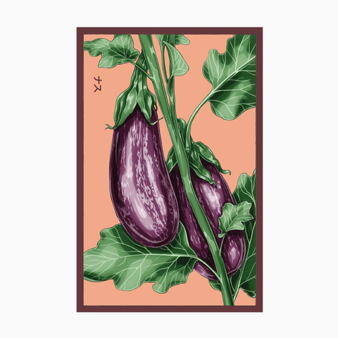 Shido Seeds Aubergine Jewel Marble F1