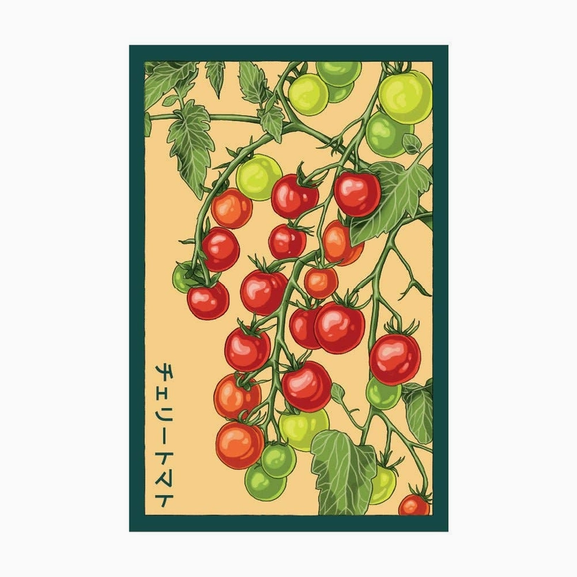 Shido Seeds Cherry Tomato