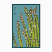 Shido Seeds Asparagus Mary Washington