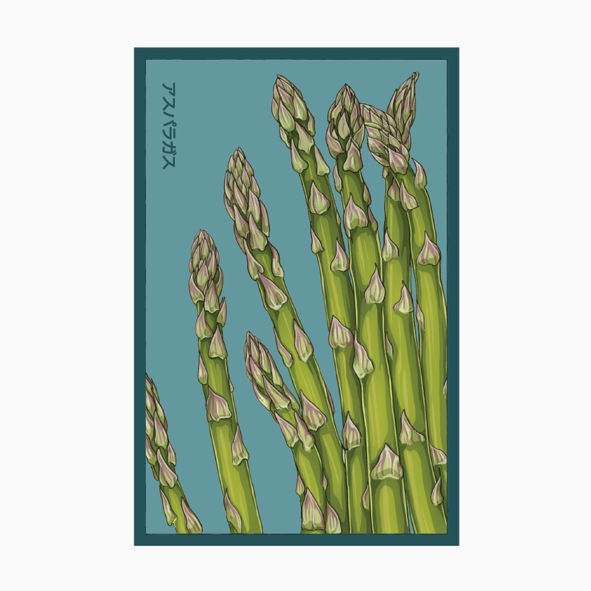 Shido Seeds Asparagus Mary Washington