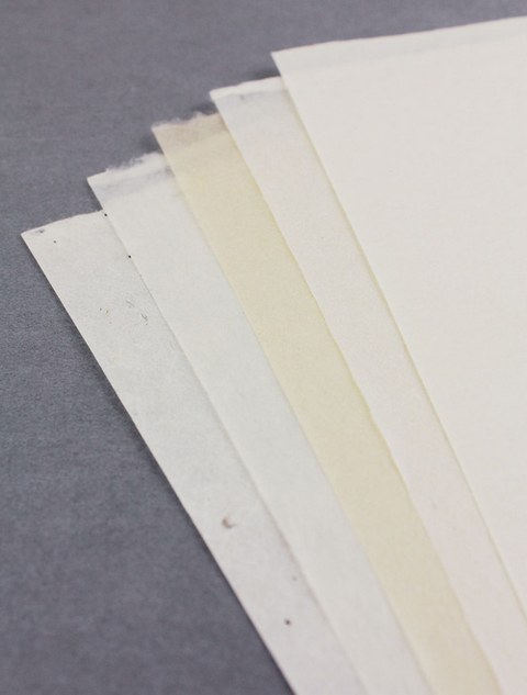 Japanese Paper Washi Collection – Longevity