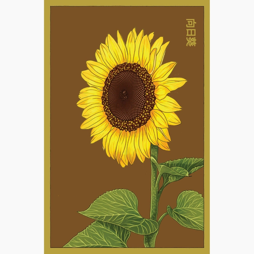 Shido Seeds sunflower seed packet with premium vacuum-sealed packaging