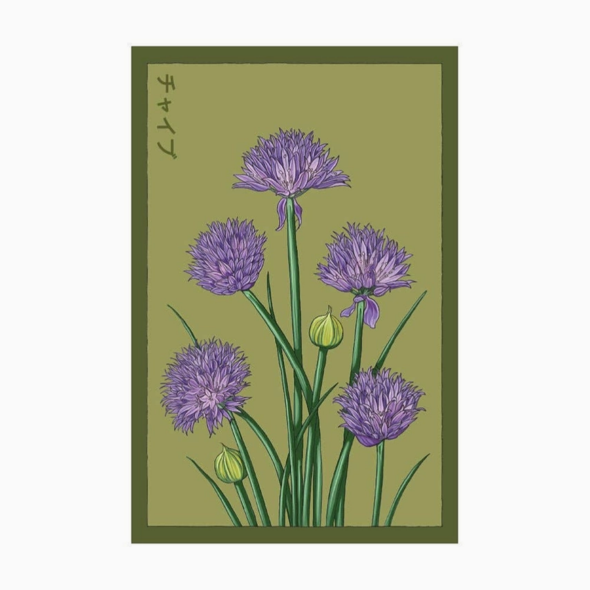 Shido Seeds chive seed packet with premium vacuum-sealed packaging