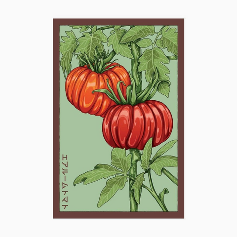 Heirloom Tomato Seeds Packet