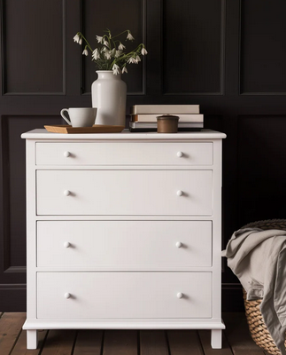 Fusion Mineral Paint Snowdrop