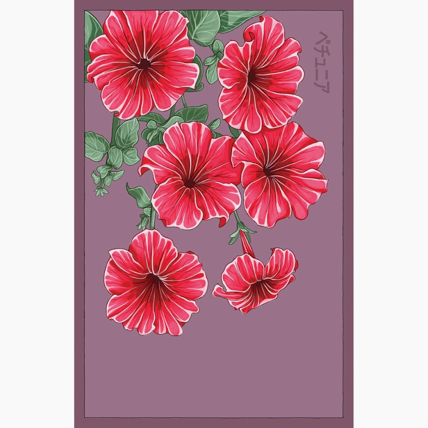 Shido Seeds Trailing Petunia Flower Seeds Packet