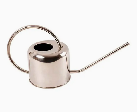 Stainless Steel Watering Can