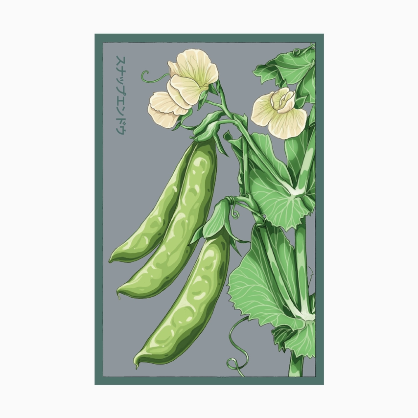 Shido Seeds Sugar Snap Peas Seeds Packet