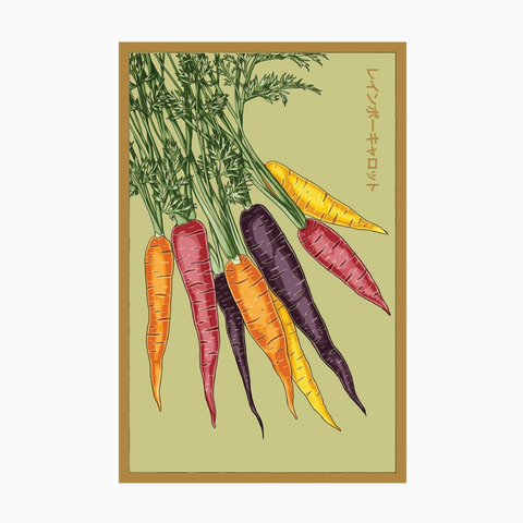 Shido Seeds Rainbow Carrot Seeds Packet