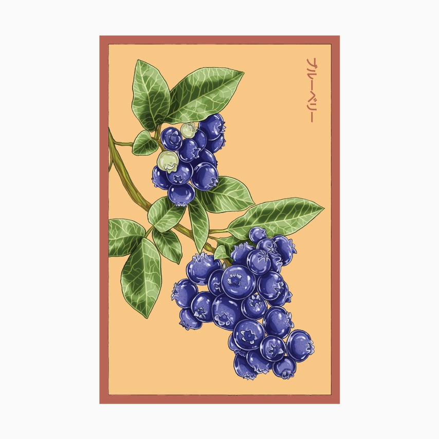 Shido Seeds Blueberry Shrub Seeds Packet