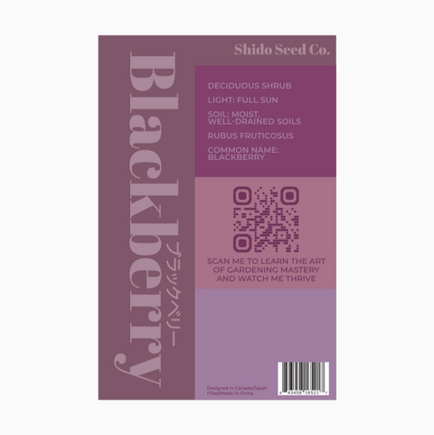 Shido Seeds Blackberry Seeds Packet