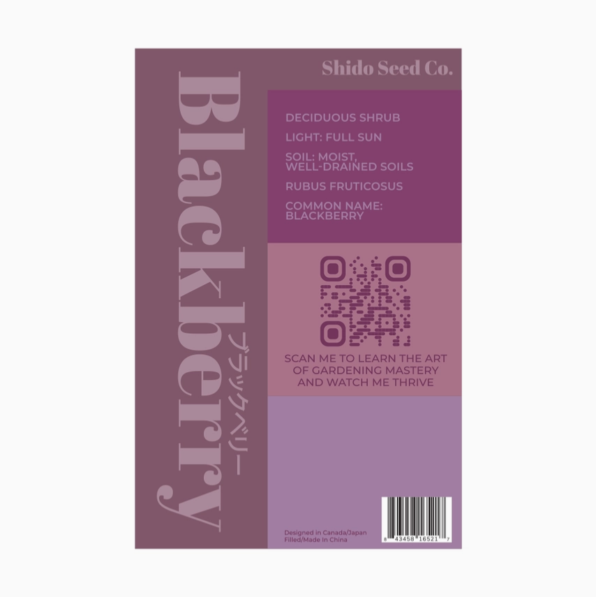 Shido Seeds Blackberry Seeds Packet