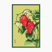 Shido Seeds Basket Kisses Strawberry Seeds