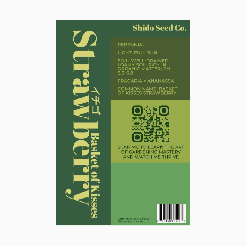 Shido Seeds Basket Kisses Strawberry Seeds