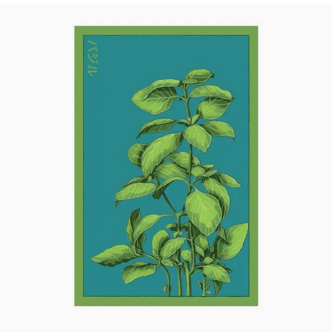 Shido Seeds Basil Seeds
