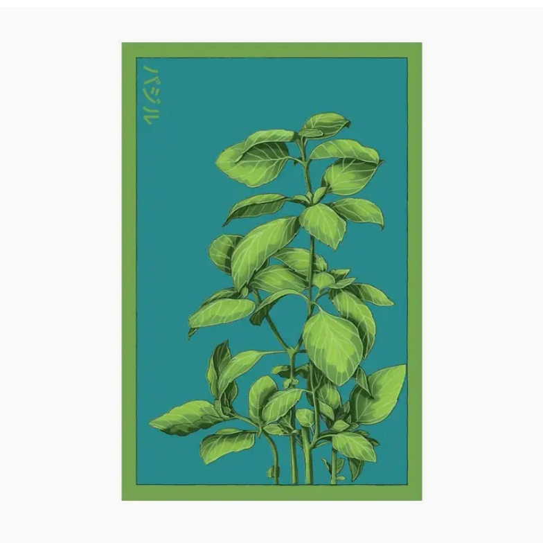 Shido Seeds Basil Seeds