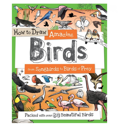How to Draw Amazing Birds