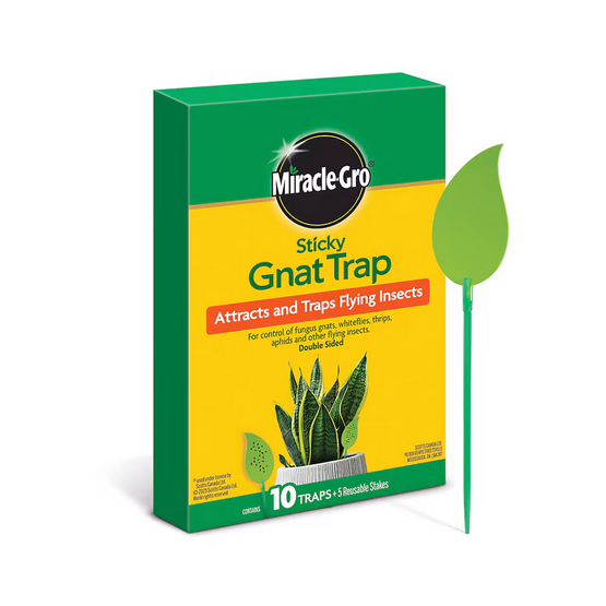Miracle-Gro Sticky Gnat Trap