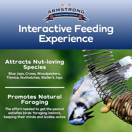 Armstrong - Peanut Coil Feeder