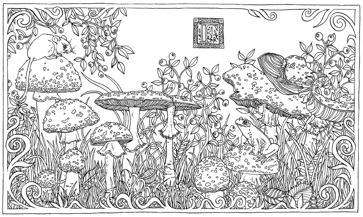 Into the Fungarium  - A Spellbinding Coloring Book of Fantastical Fungi