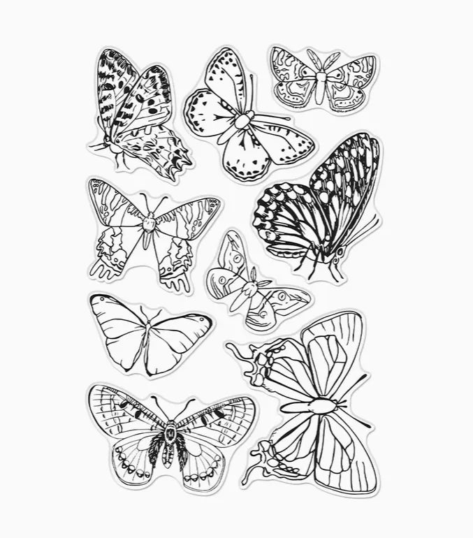 Hero Arts Beautiful Butterflies Clear Stamp Set - Art Noise Hero Arts Beautiful Butterflies Clear Stamp Set Hero Arts Stamps & Embossing Supplies art-noise.myshopify.com hero-arts-beautiful-butterflies-clear-stamp-set Hero Arts Beautiful Butterflies Clear Stamp Set Hero Arts Stamps & Embossing Supplies art-noise.myshopify.com hero-arts-beautiful-butterflies-clear-stamp-set