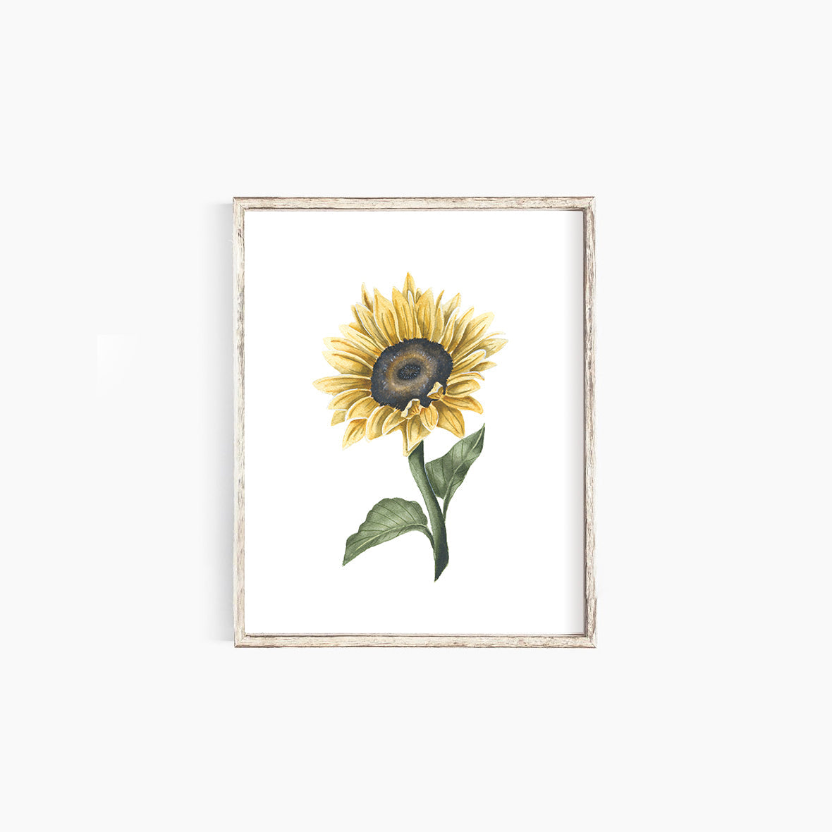 Sunflower II Emma Allen Design Studio Print art-noise.myshopify.com sunflower-ii