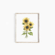 Sunflower Emma Allen Design Studio Print art-noise.myshopify.com sunflower-1