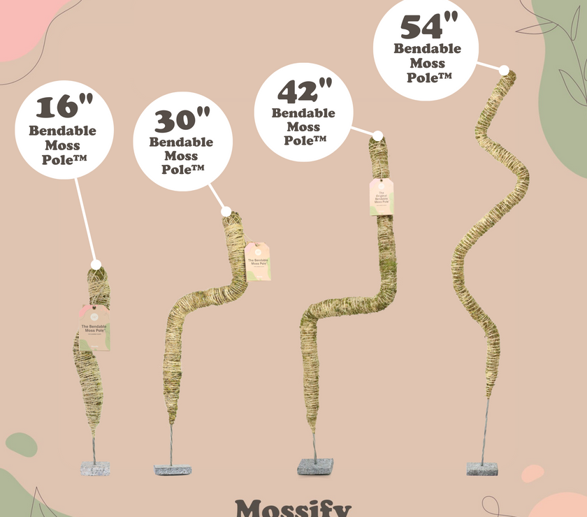 The Original Bendable Moss Pole™ - Best Seller (Pins Included)