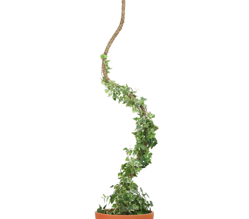 The Original Bendable Coir Pole™ - Best Seller (Tape Included)