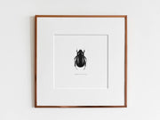 ElizabethAnnFrancis Tomarus Relictus Beetle 5X5" - Art Noise ElizabethAnnFrancis Tomarus Relictus Beetle 5X5" ElizabethAnnFrancis Fine Art Prints art-noise.myshopify.com elizabethannfrancis-tomarus-relictus-beetle-5x5 ElizabethAnnFrancis Tomarus Relictus Beetle 5X5" ElizabethAnnFrancis Fine Art Prints art-noise.myshopify.com elizabethannfrancis-tomarus-relictus-beetle-5x5