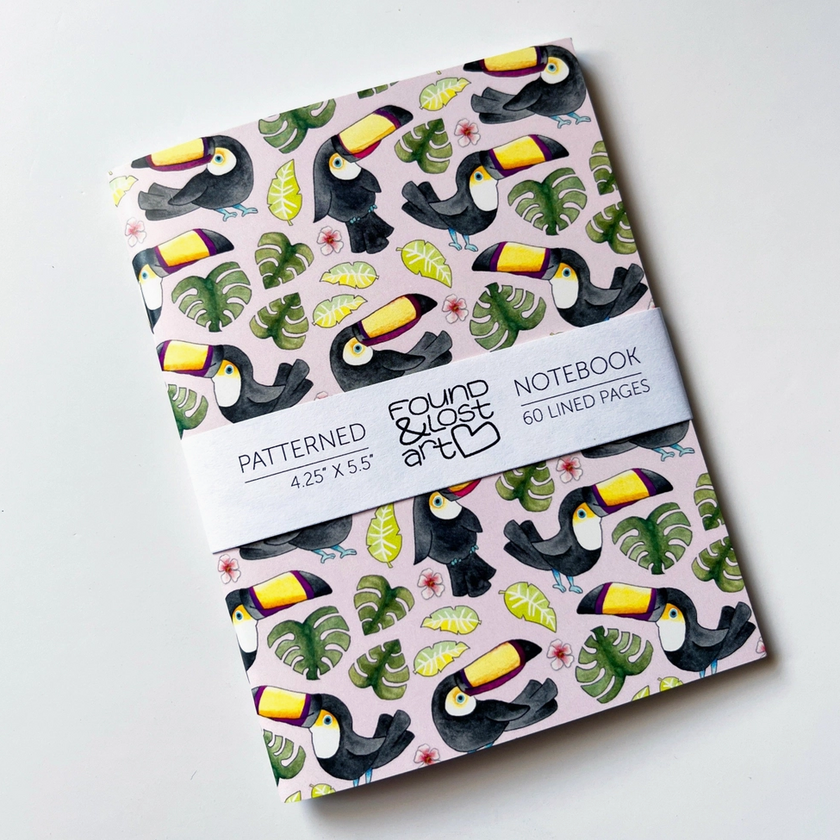 Found & Lost Art Notebook - Toucans - Art Noise