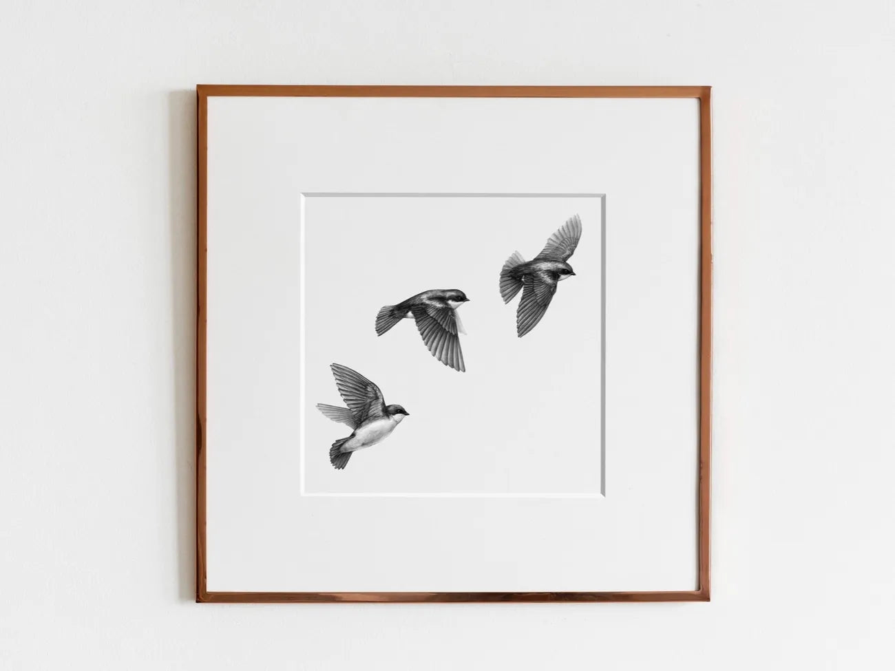 ElizabethAnnFrancis Tree Swallows 6X6" - Art Noise ElizabethAnnFrancis Tree Swallows 6X6" ElizabethAnnFrancis Fine Art Prints art-noise.myshopify.com elizabethannfrancis-tree-swallows-6x6 ElizabethAnnFrancis Tree Swallows 6X6" ElizabethAnnFrancis Fine Art Prints art-noise.myshopify.com elizabethannfrancis-tree-swallows-6x6