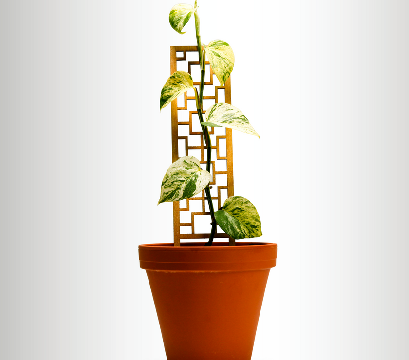 Tropical Squares Wooden Trellis