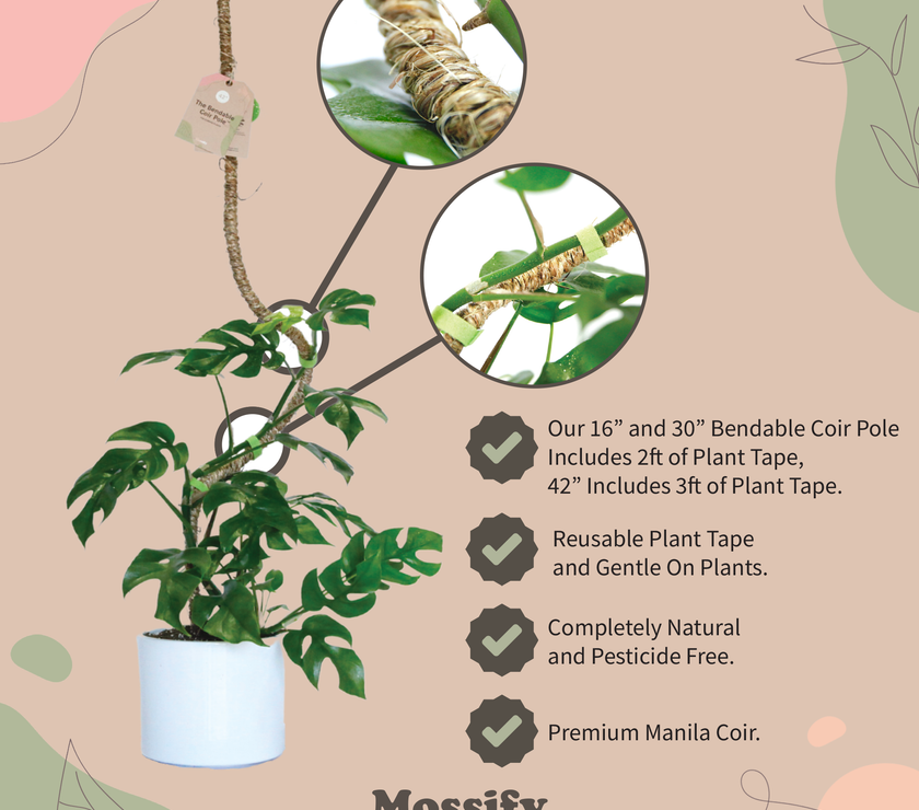The Original Bendable Coir Pole™ - Best Seller (Tape Included)