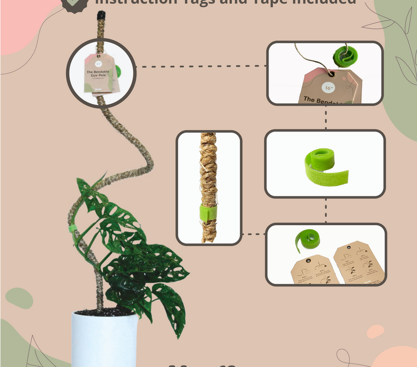 The Original Bendable Coir Pole™ - Best Seller (Tape Included)