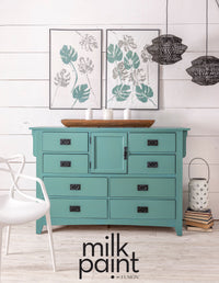 Fusion Milk Paint Velvet Palm