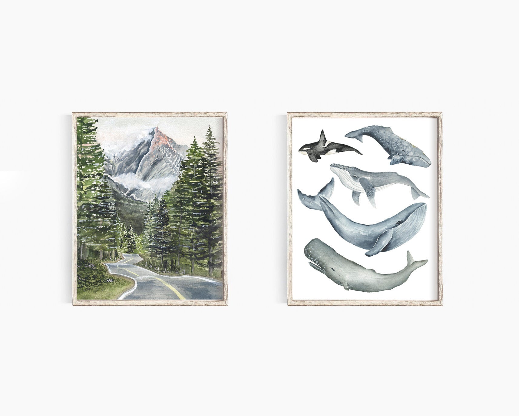 Whales