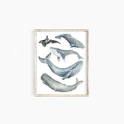 Whales Emma Allen Design Studio Print art-noise.myshopify.com whales Whales Emma Allen Design Studio Print art-noise.myshopify.com whales