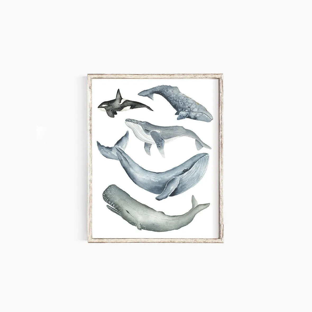 Whales Emma Allen Design Studio Print art-noise.myshopify.com whales Whales Emma Allen Design Studio Print art-noise.myshopify.com whales
