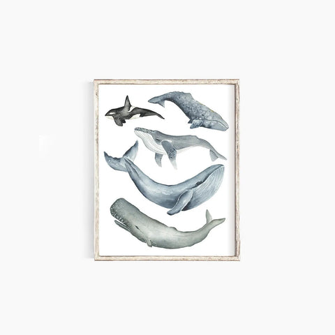 Whales Emma Allen Design Studio Print art-noise.myshopify.com whales Whales Emma Allen Design Studio Print art-noise.myshopify.com whales