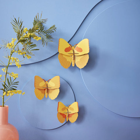 Yellow Butterflies Set of 3 Nüline Distribution Cardboard Cutouts art-noise.myshopify.com yellow-butterflies-set-of-3-1 Yellow Butterflies Set of 3 Nüline Distribution Cardboard Cutouts art-noise.myshopify.com yellow-butterflies-set-of-3-1