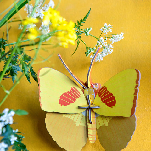 Yellow Butterfly