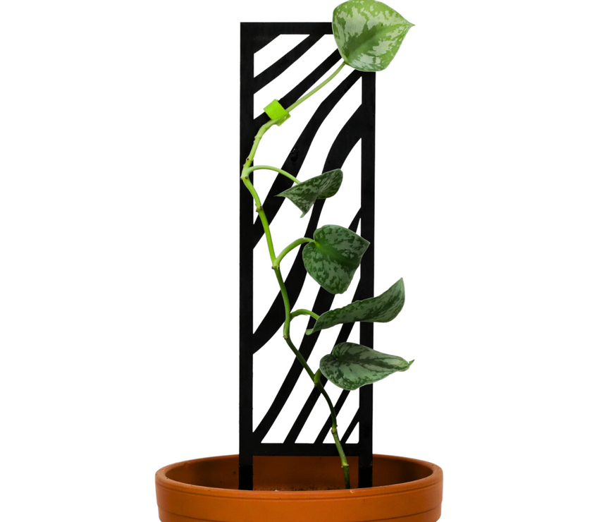 Zebra Wooden Trellis